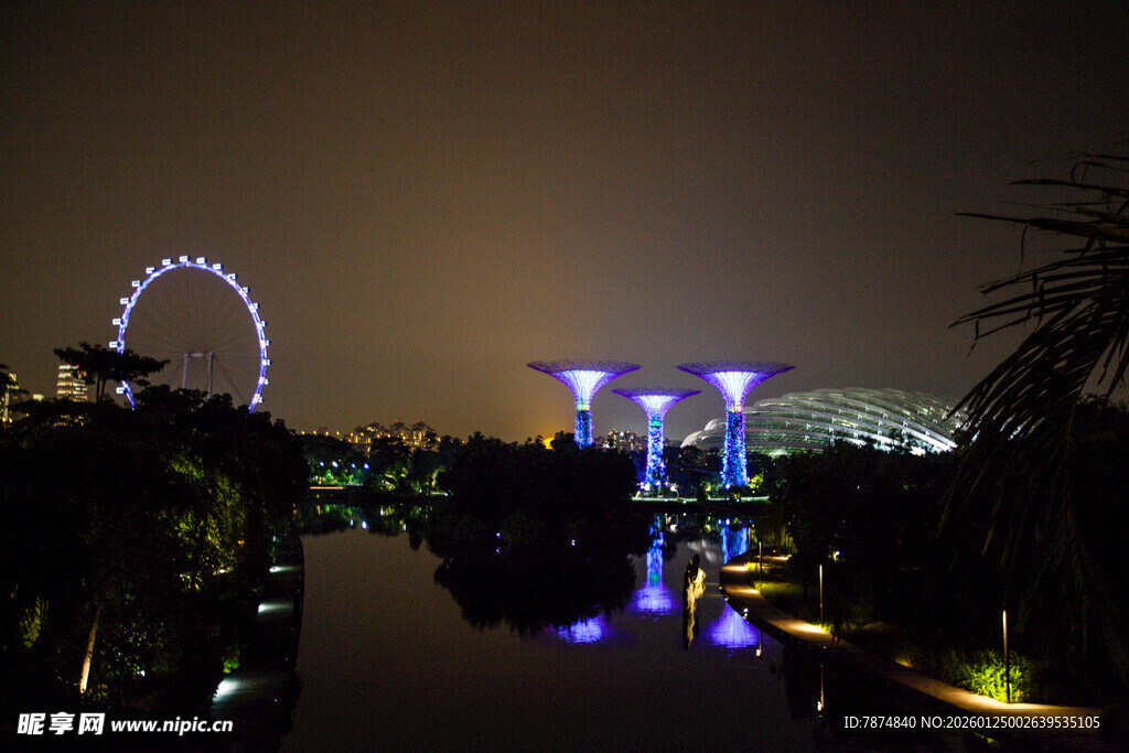 城市夜景中的摩天轮与建筑