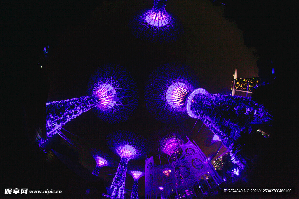 紫色灯光下的梦幻水母景观