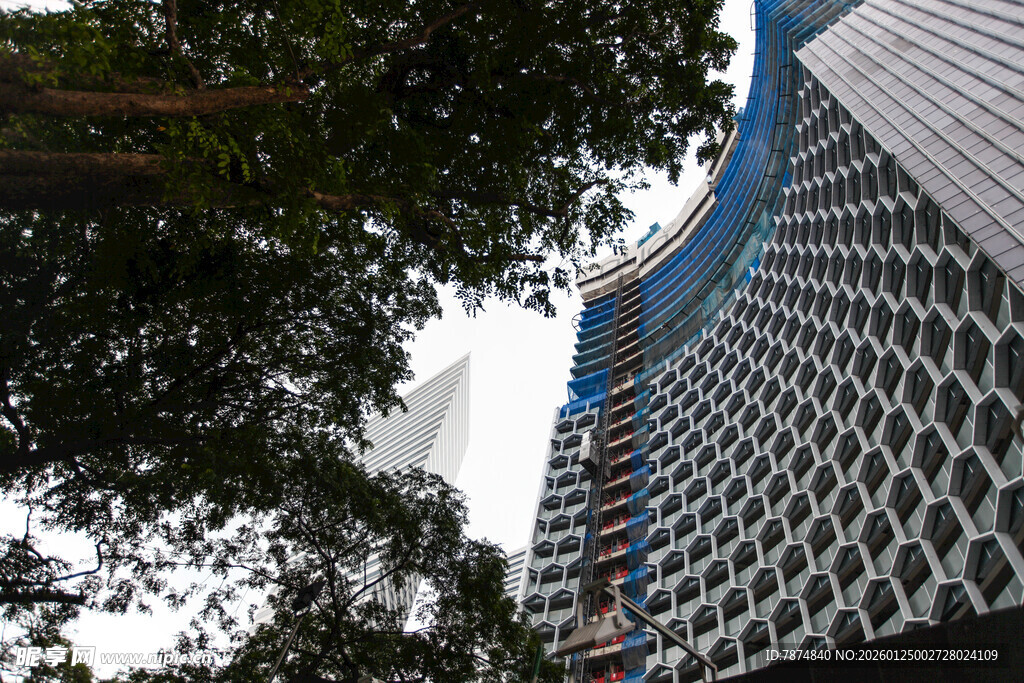 高楼与绿树相映成趣