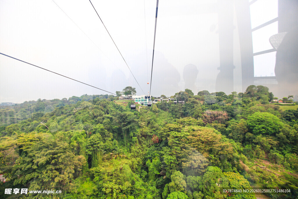 高空俯瞰茂密丛林景观