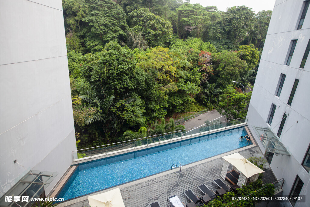 高层视角下的泳池与绿植