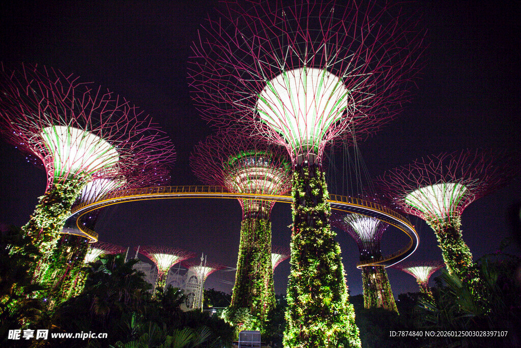 新加坡滨海湾超级树夜景