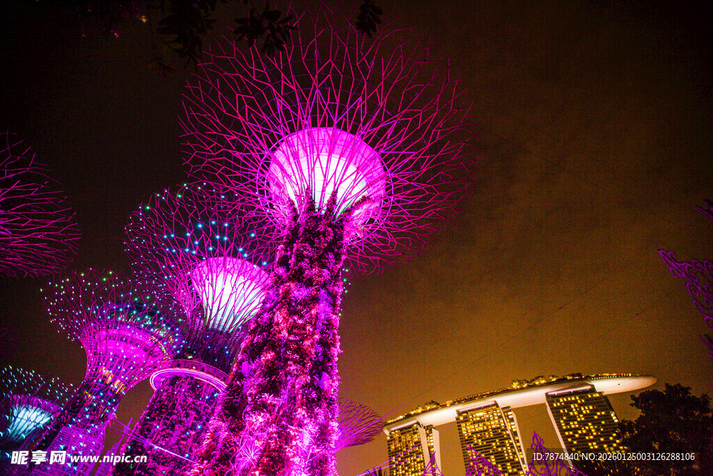 新加坡滨海湾夜景灯光树