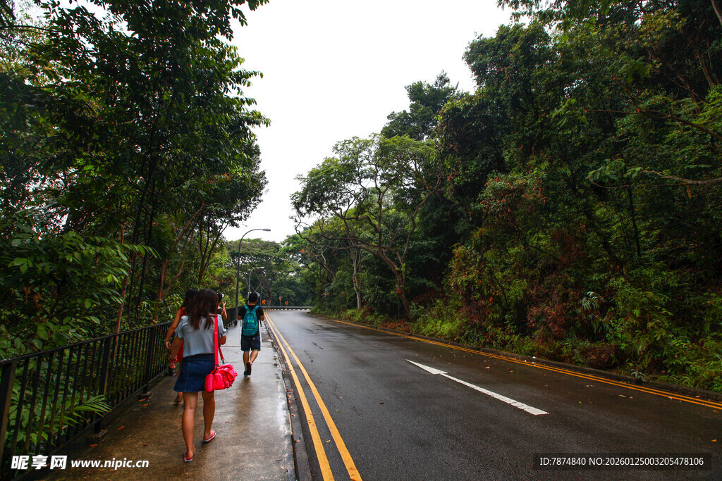 林间小道上的徒步旅行者