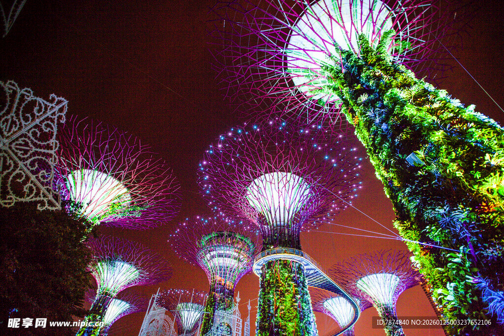 新加坡滨海湾夜景灯光秀