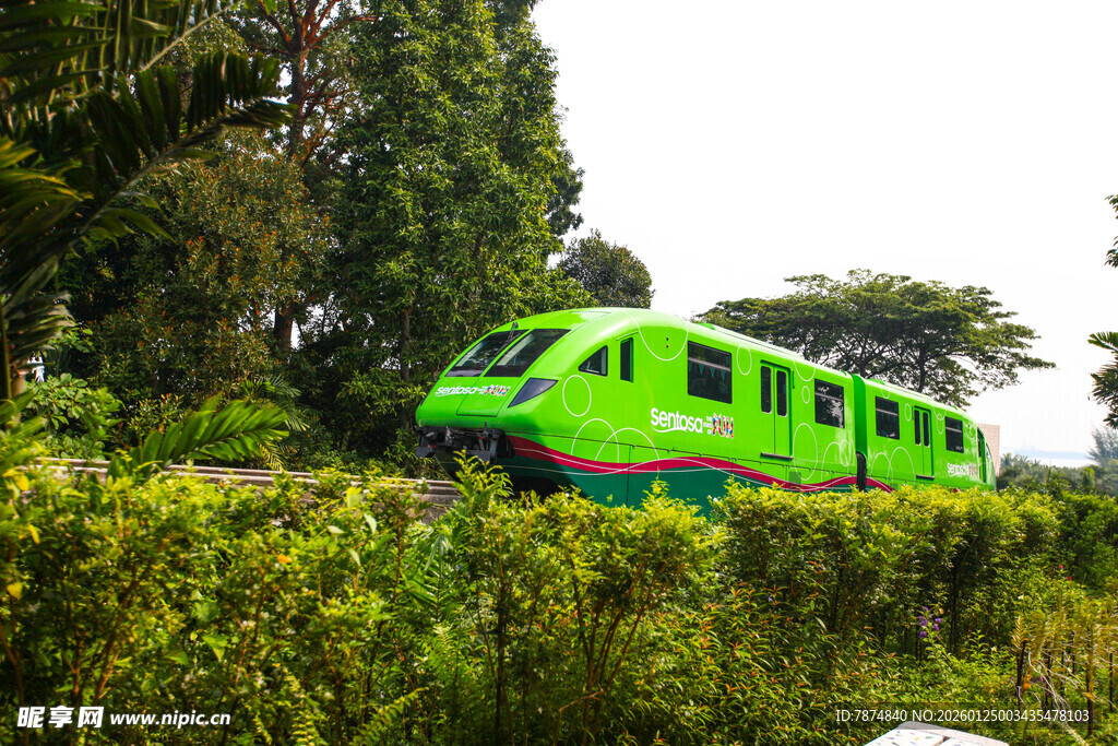 绿色列车穿行于葱郁林间