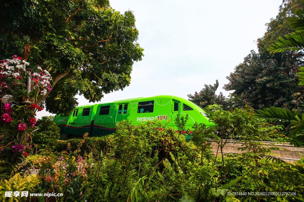 绿色列车穿行于繁茂绿植间
