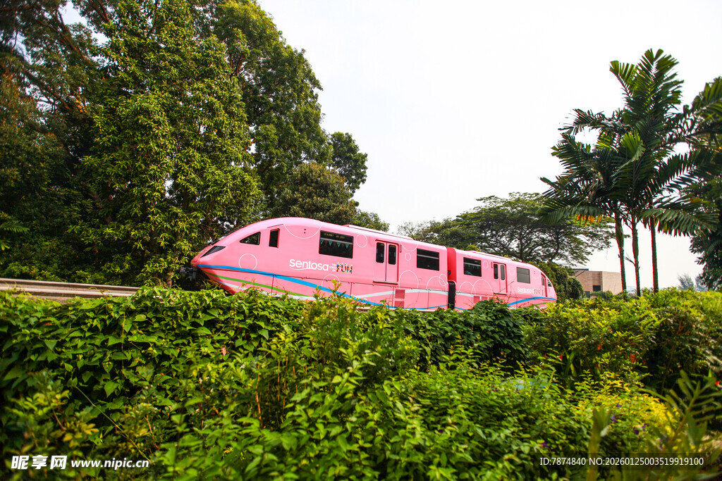 粉色列车穿行于绿植间