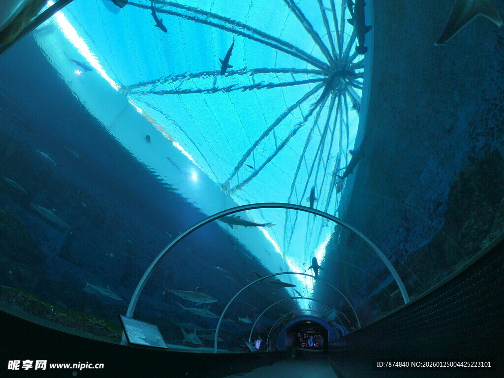 室内独特玻璃穹顶景观