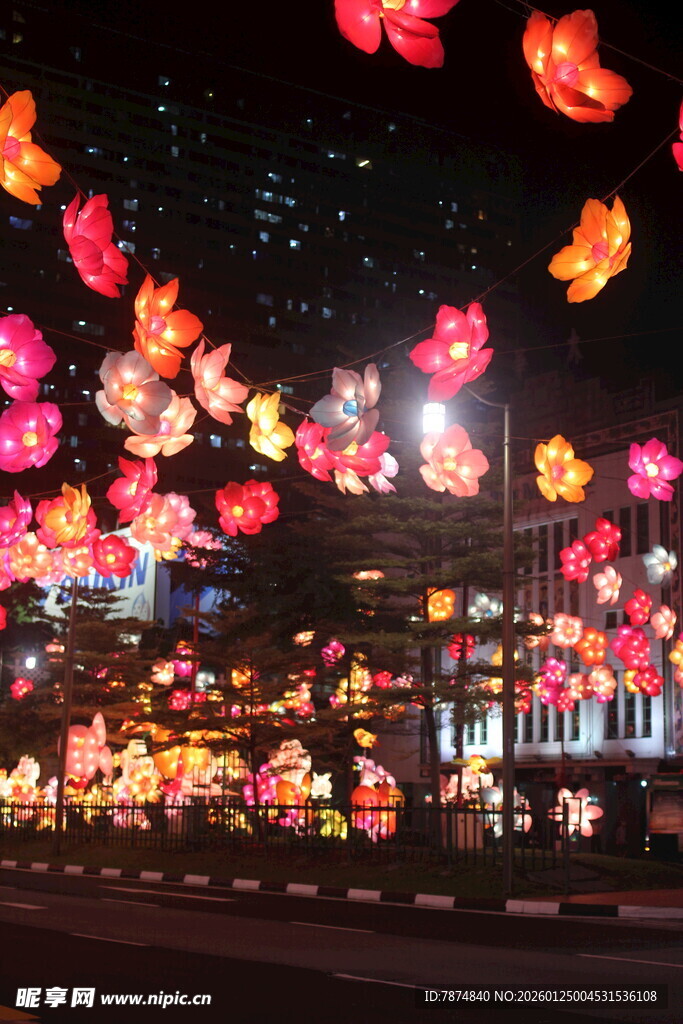 璀璨花灯点亮迷人夜景