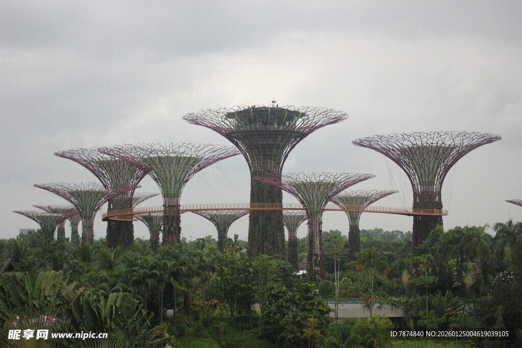 新加坡滨海湾的擎天大树