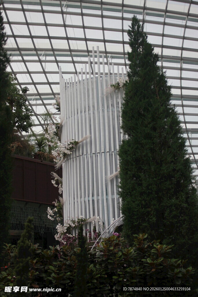 温室中的绿植与白色结构