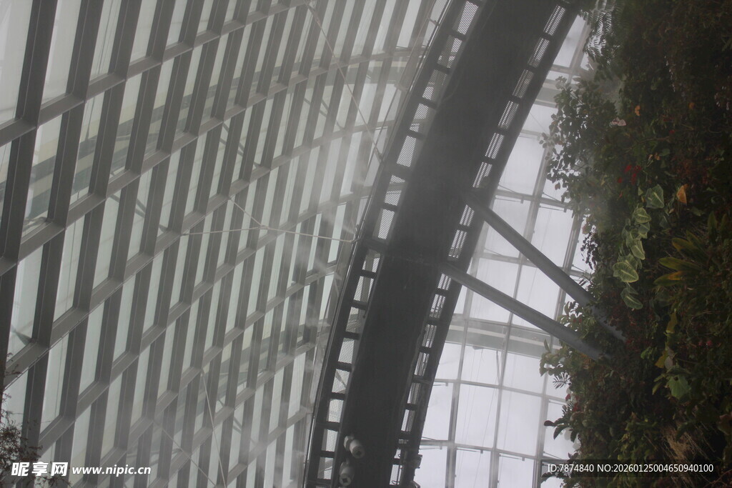 现代建筑内的弧形绿植景观