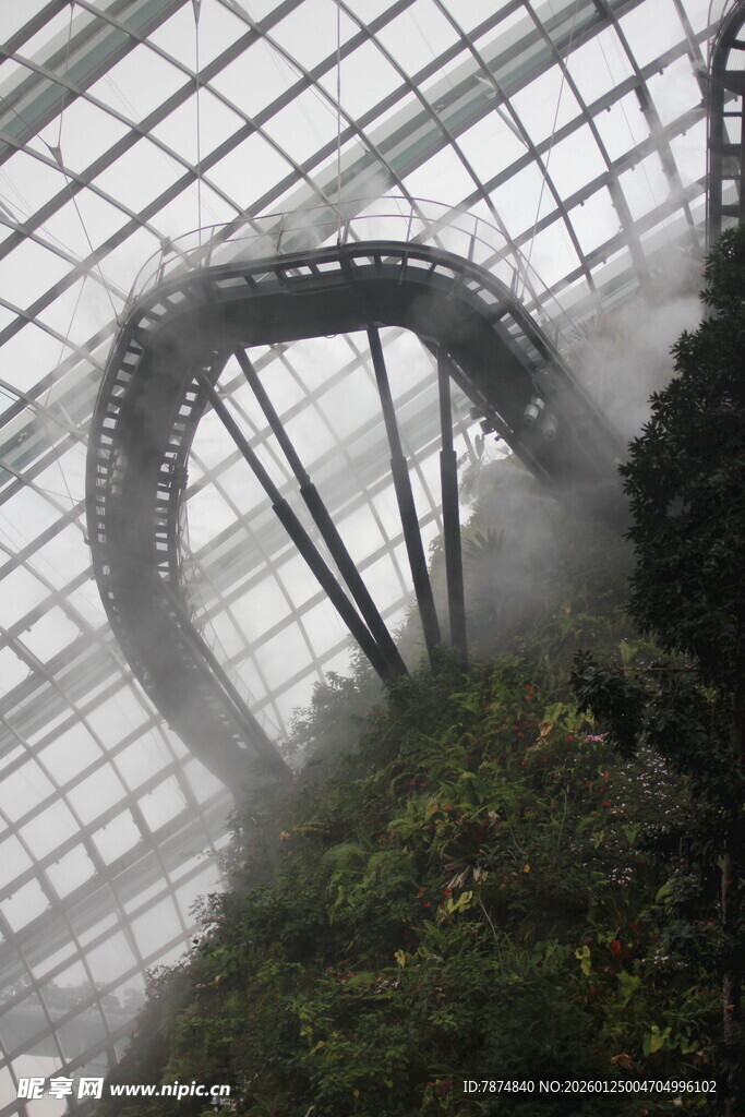 云雾缭绕的温室景观