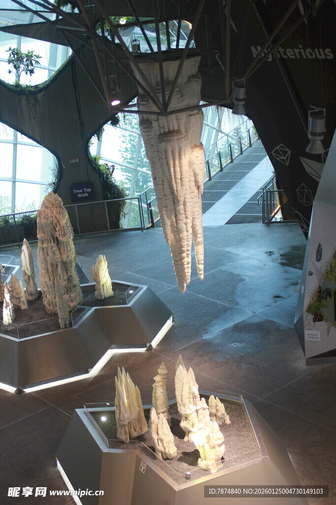 博物馆内的精美化石展品