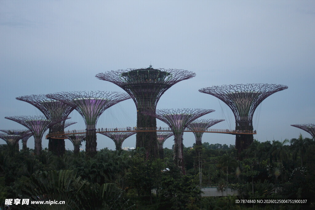 新加坡滨海湾超级树景观