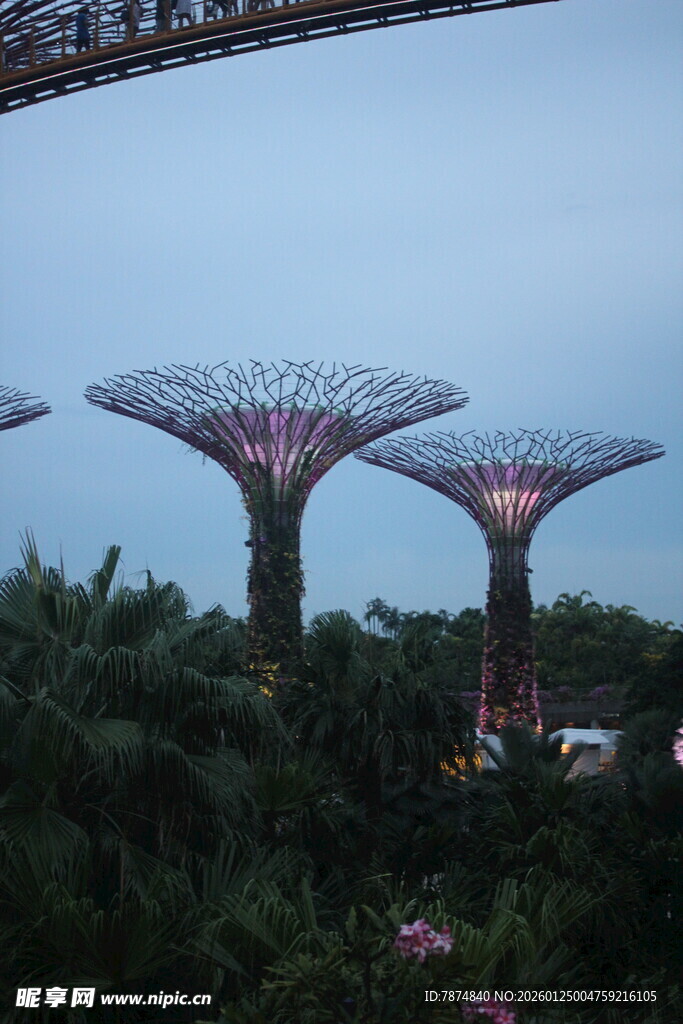 新加坡滨海湾超级树景观