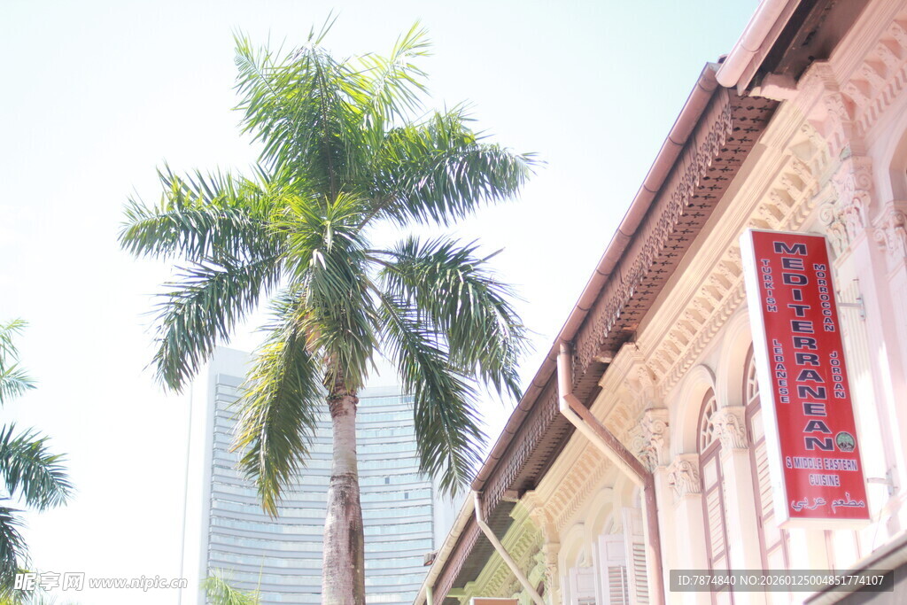 街边棕榈树与特色建筑