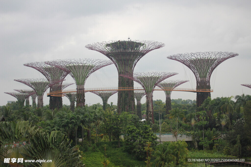 新加坡超级树景观