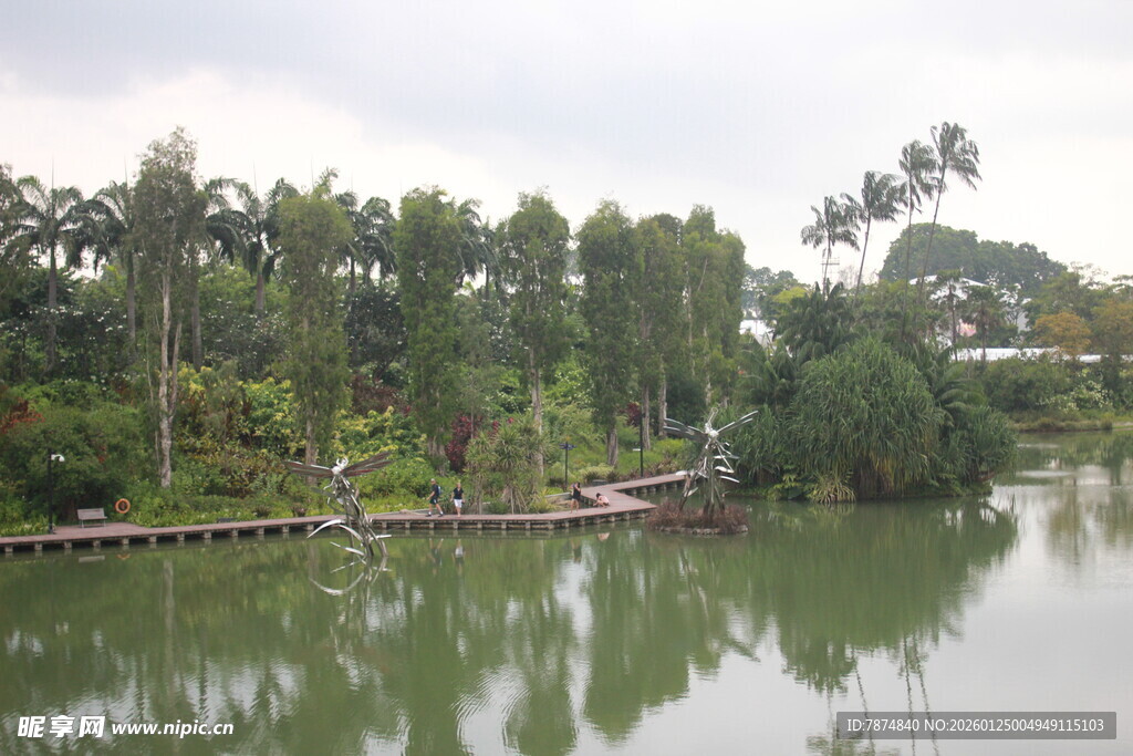 宁静湖畔绿树环绕的美景