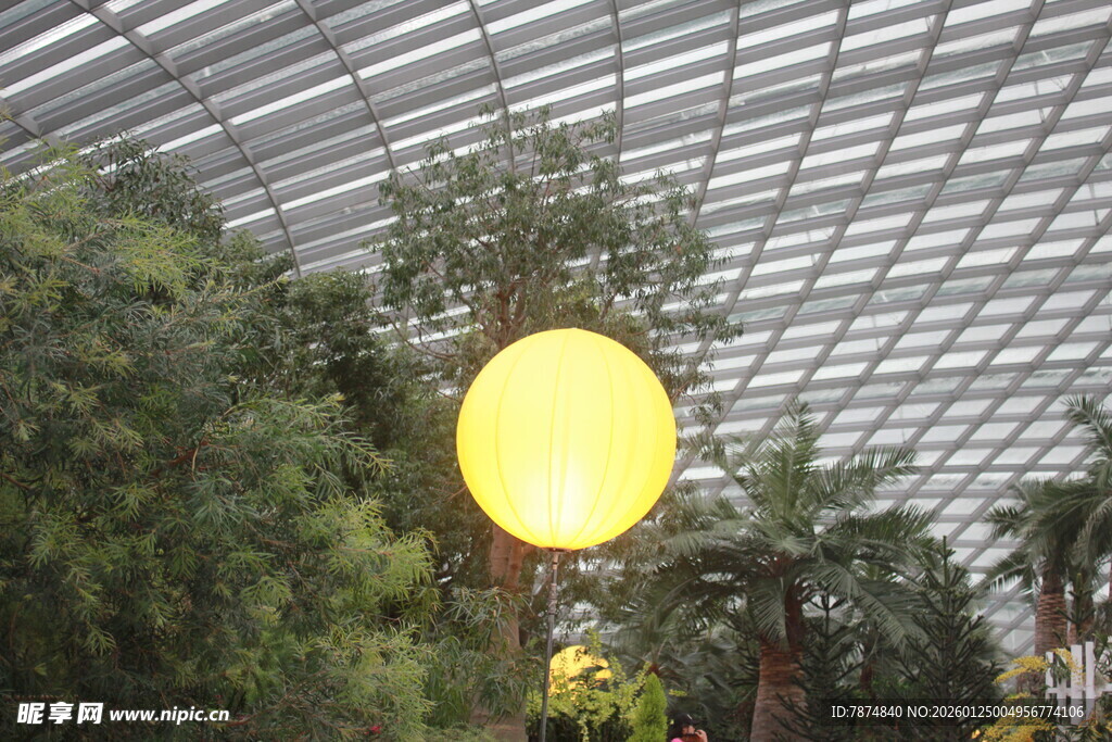 温室中的黄色球形装饰物
