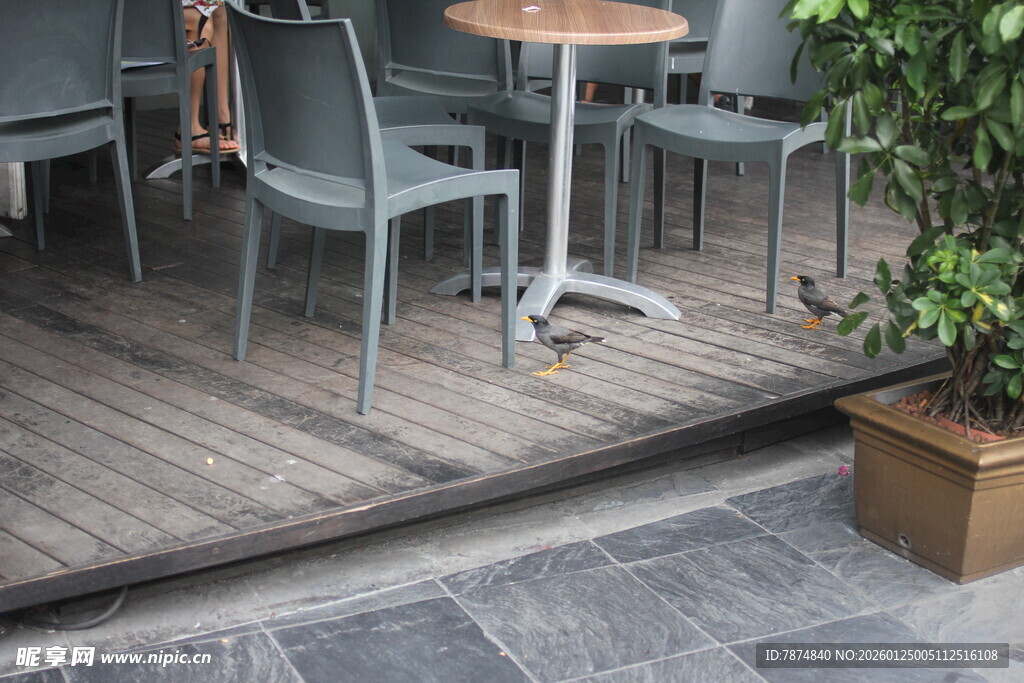 户外休闲桌椅绿植组合