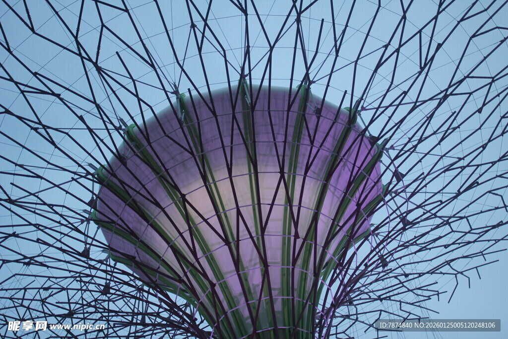 新加坡超级树景观