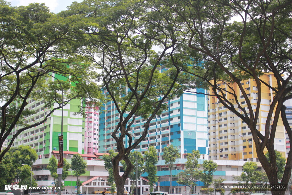 绿树掩映下的多彩建筑群