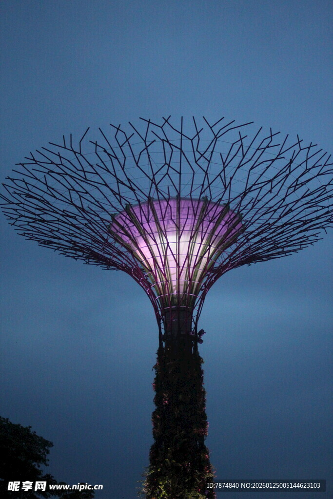 新加坡超级树夜景