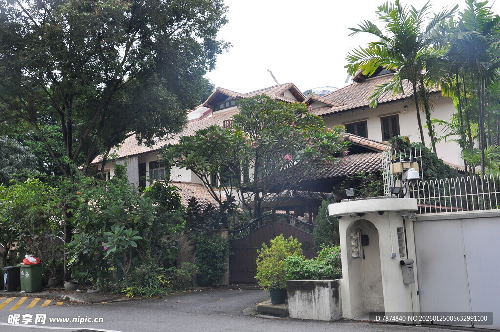 绿树环绕的精致别墅