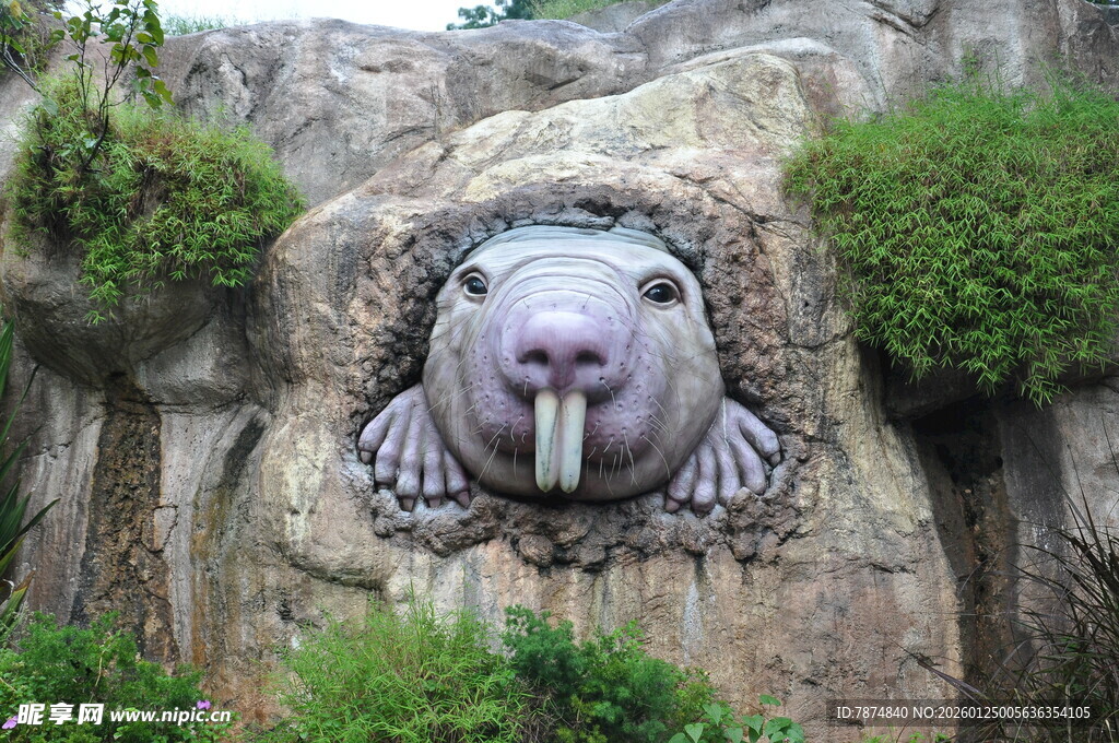 岩石上的海象雕塑