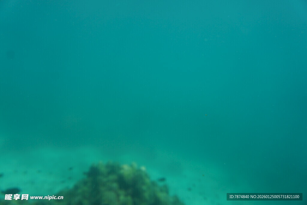 海底景观 神秘礁石