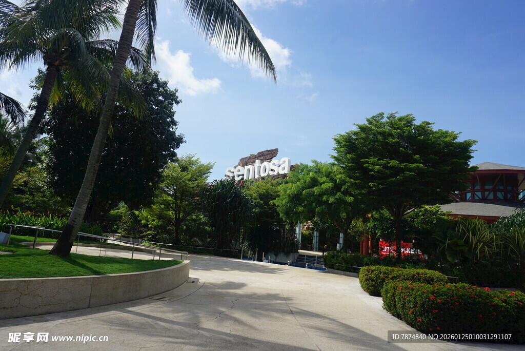 热带庭院景观 绿意盎然