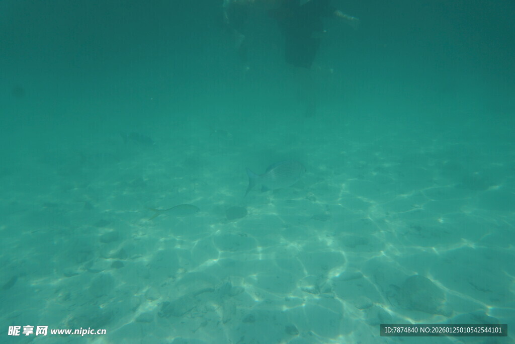 清澈海底景象