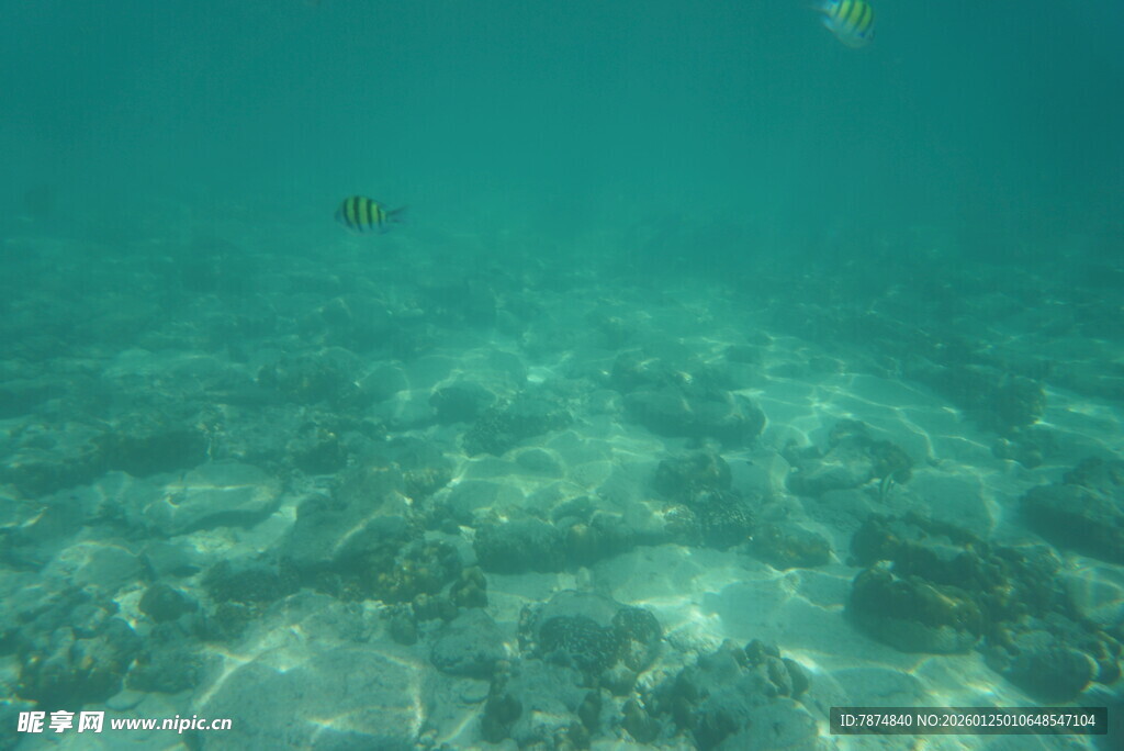 海底清澈景象