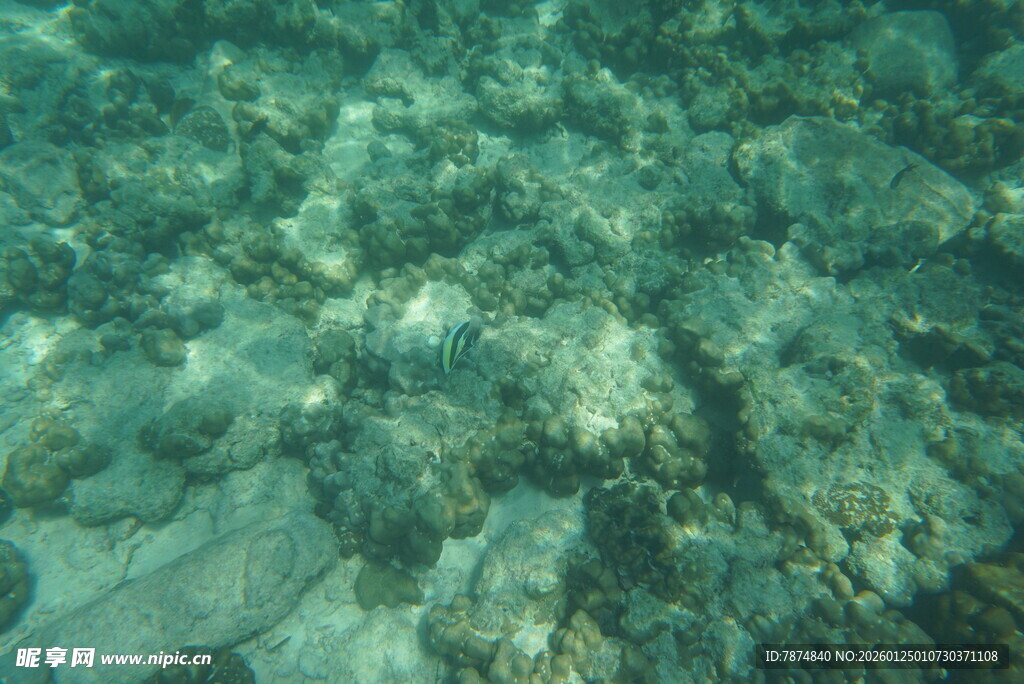 海底岩石景观