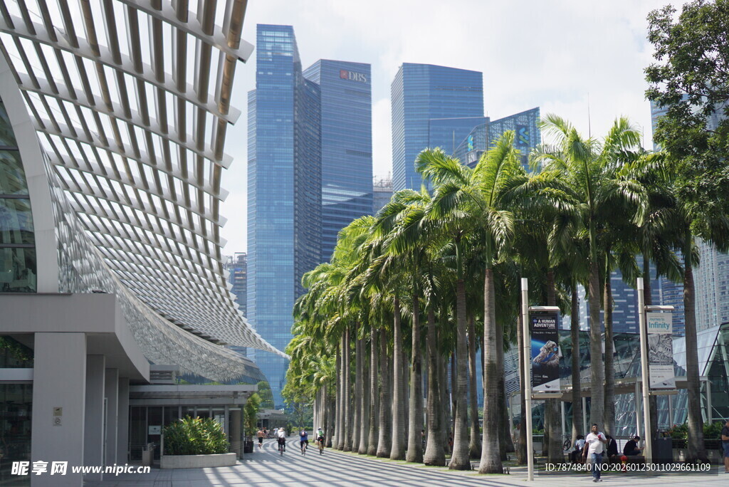 城市街道旁的棕榈树与高楼