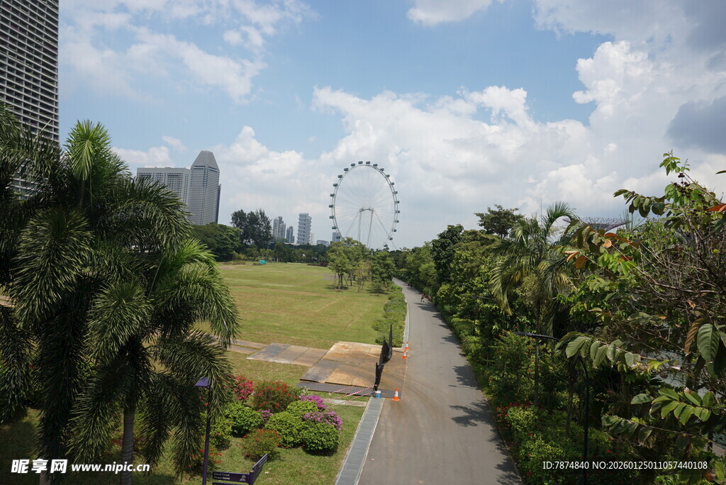 城市公园中的林荫步道
