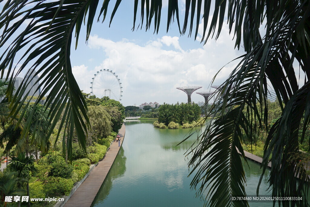 新加坡滨海湾花园景观