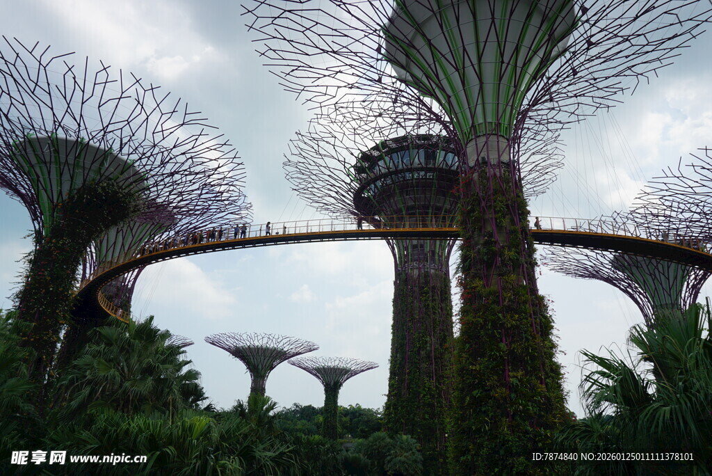 新加坡超级树景观