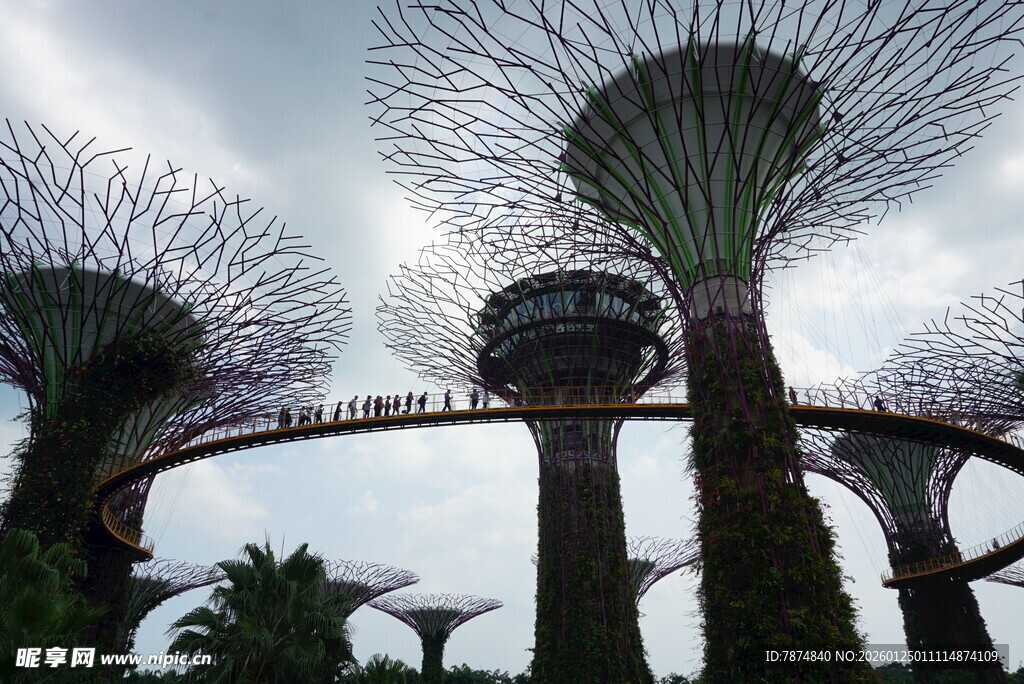新加坡滨海湾超级树景观
