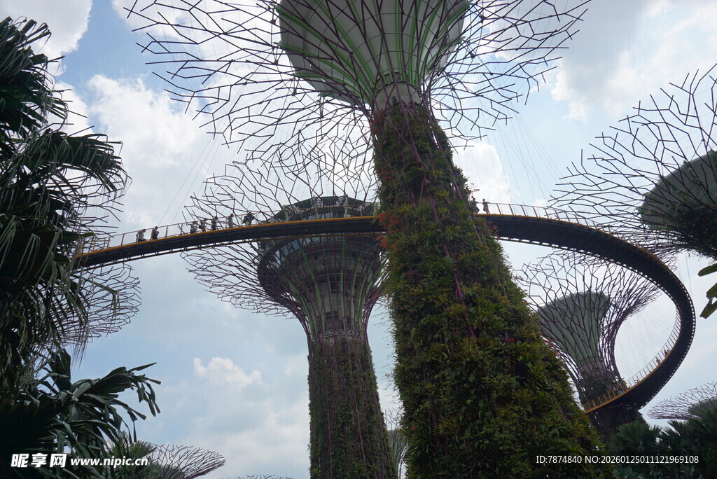 新加坡滨海湾花园擎天树