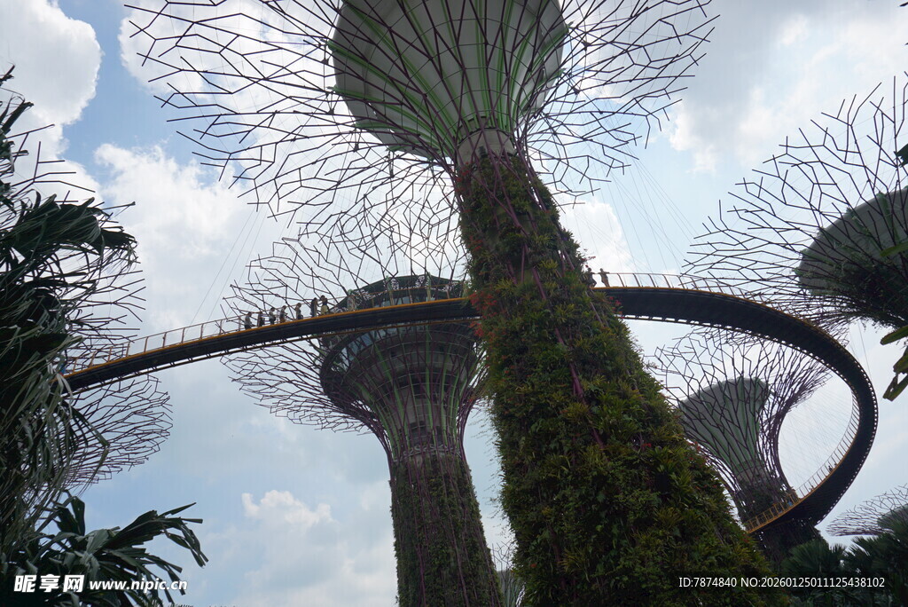 新加坡超级树景观
