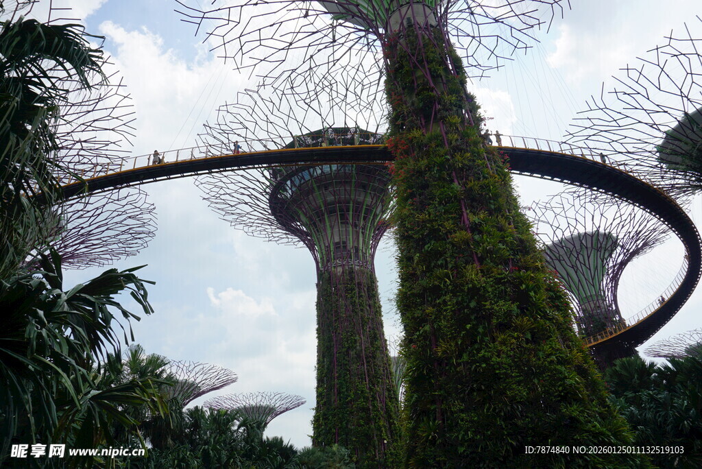 新加坡滨海湾超级树景观