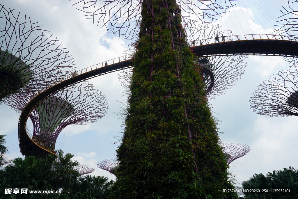 新加坡滨海湾花园树景