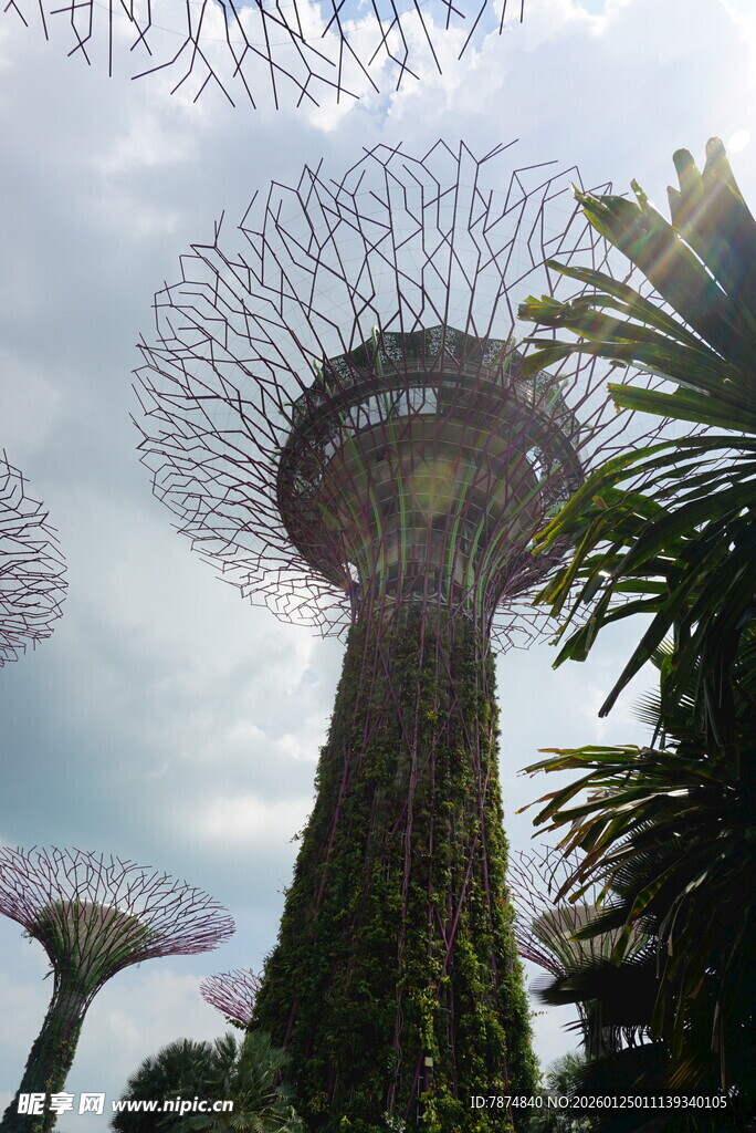 新加坡超级树景观