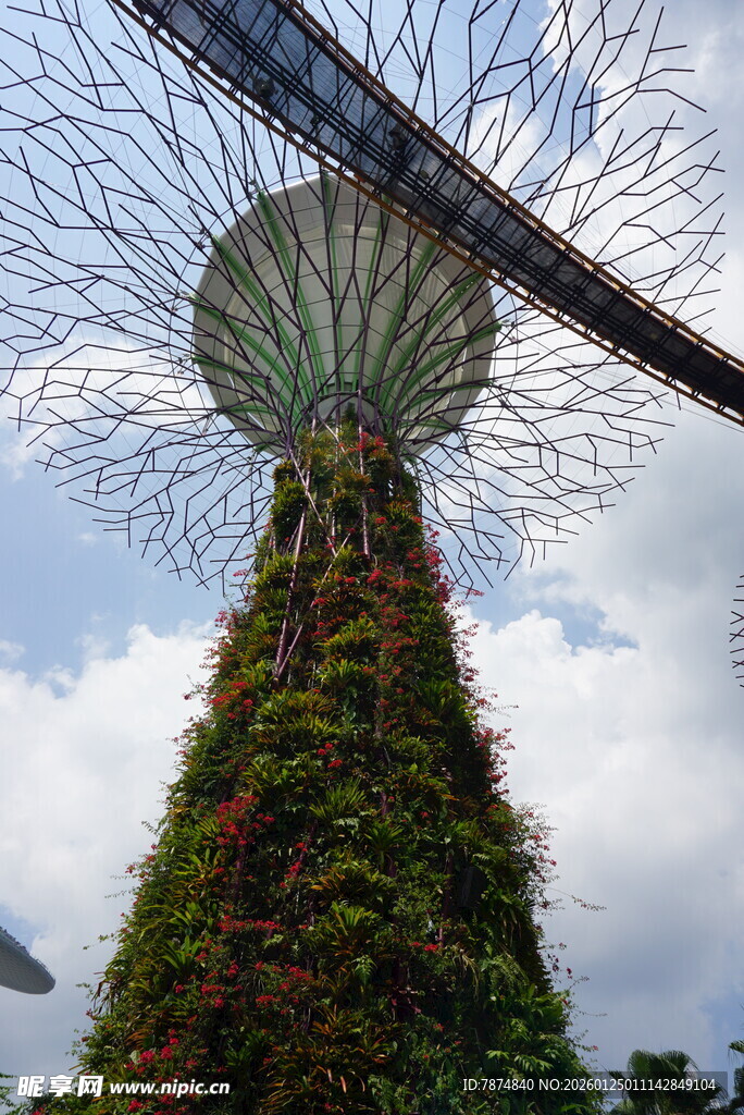 新加坡超级树景观