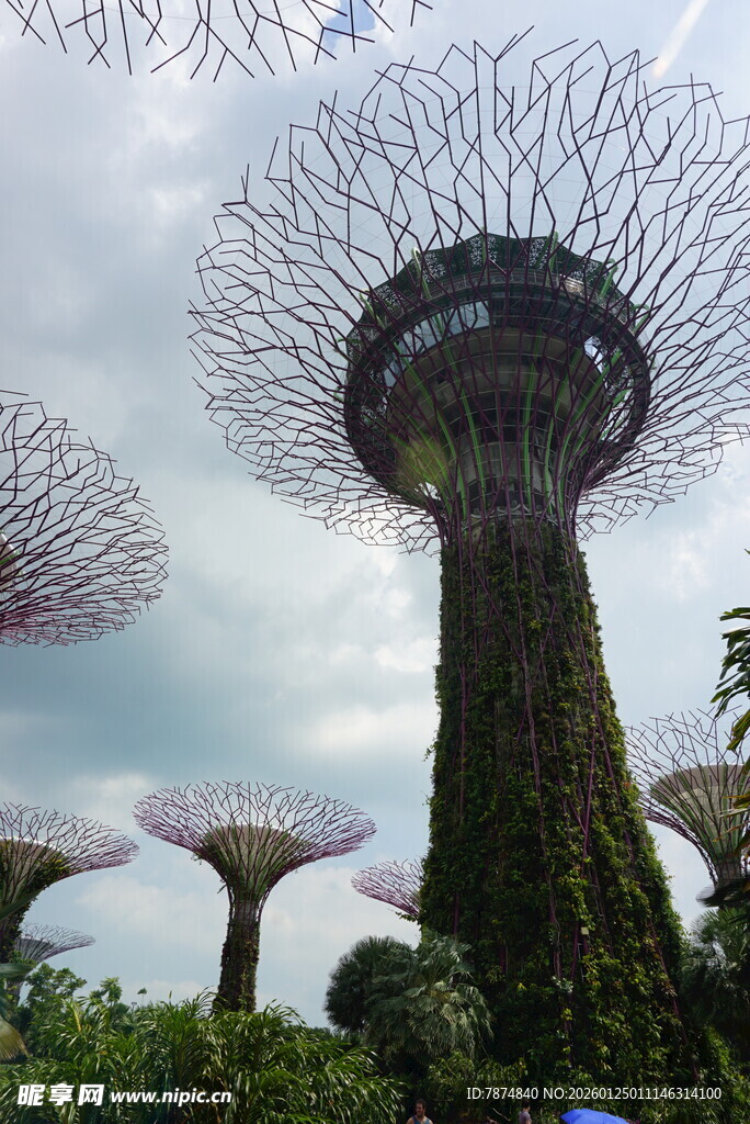 新加坡超级树景观奇观