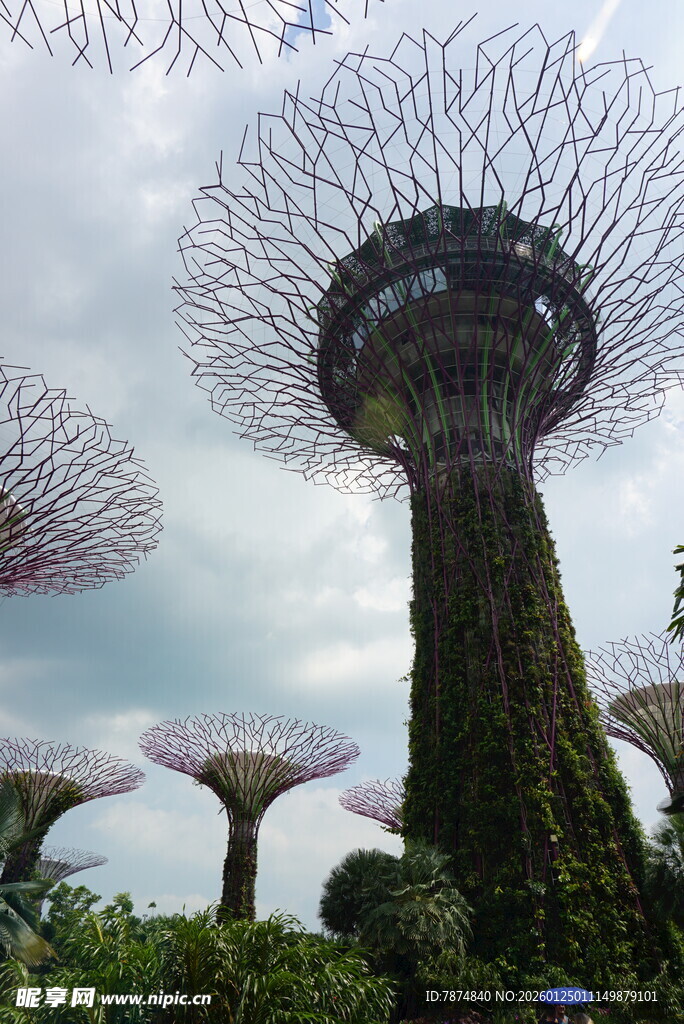 新加坡滨海湾超级树景观