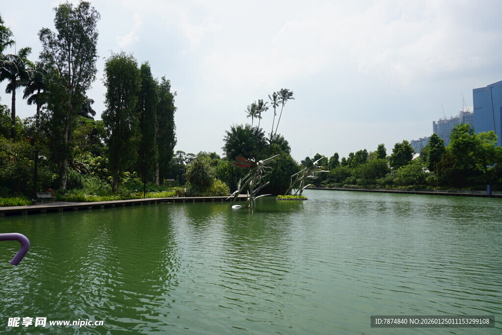 湖畔绿树环绕的宁静风光